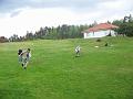 Obraz 050